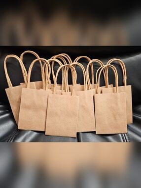 Kraft Paper Gift Bags with Twisted Handles - Pack 12 Pc